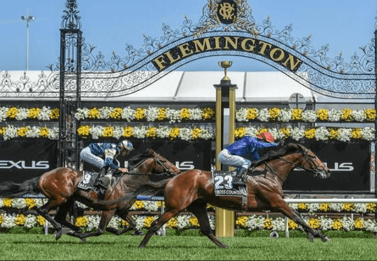 Horse Racing and the Top 10 Racecourses to Visit