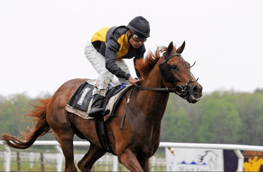 Horse Racing Around the World: A Global Phenomenon