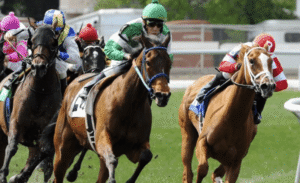 Horse Racing Around the World: A Look at Different Cultures