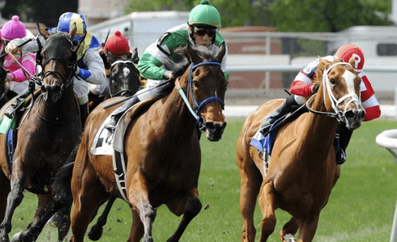 Horse Racing Around the World: A Look at Different Cultures