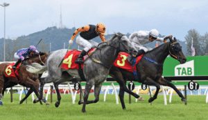 Horse Racing Around the World: A Look at the Different Countries